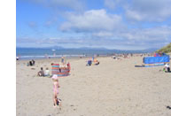 Shell Island